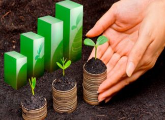 Rol de la sostenibilidad en la logística Post Covid-19