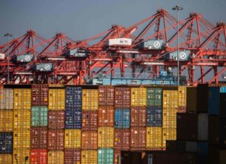 Empresas ecuatorianas sacan provecho de la crisis logística global