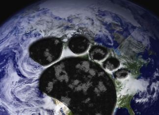 Empresas ecuatorianas reciben distinciones por reducir huellas de carbono