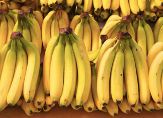 MAG abre expedientes para sancionar a exportadoras de banano