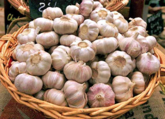 Demanda obliga a Ecuador a importar ajo peruano y chino