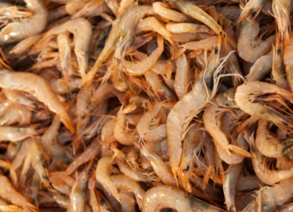 ¿Cómo ha ido creciendo la exportación de camarones congelados en Ecuador?