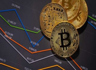 Tras un año, bitcoin en El Salvador no levanta vuelo