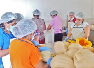 Creación de empresas en Ecuador crece en 23%