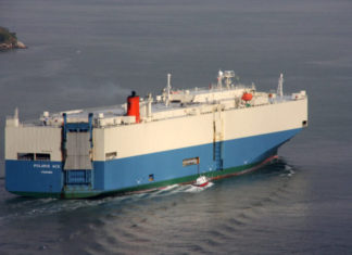 Declive del RoRo y auge de los servicios en contenedor