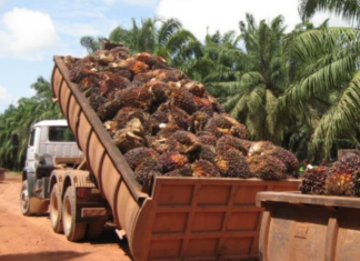 ¿Cómo se explica el alza de las exportaciones de aceite de palma en Colombia?