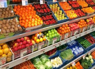 Cajas reutilizables potencian el transporte de alimentos perecederos