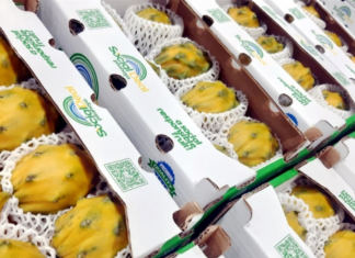 Así será la importación de pitahayas ecuatorianas a Perú