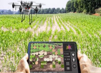 Guatemala avanza hacia la estrategia de la agricultura digital