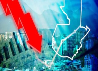 Sectores productivos que impulsan la economía en Guatemala