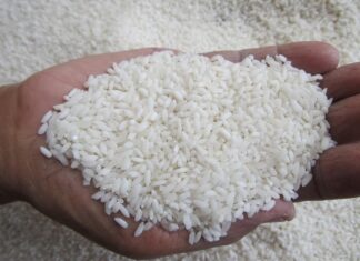 Honduras es el principal comprador de arroz en la región