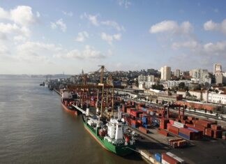 Comercio mundial se desacelera, pero «productos verdes» crecen