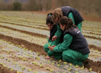 Guatemala busca apoyar emprendimientos con plan INhatcher Acelera tu Crecimiento