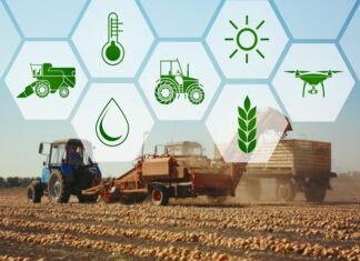 Perú podría superar a Chile como exportador agrícola el 2027