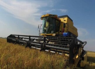 R. Dominicana recibe ayuda china para producción arrocera