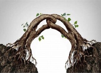 BM aprueba crédito para resiliencia climática en Panamá