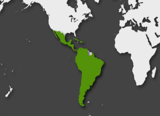 FMI: Mayoría de países americanos esquivarían la recesión