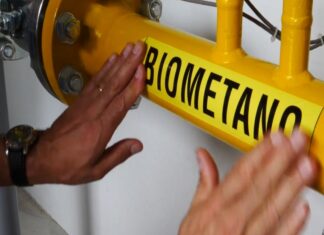 Costa Rica y su estrategia para producir biocombustibles
