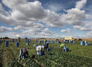 Migración frena el crecimiento económico guatemalteco