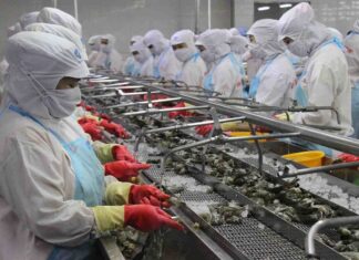 Panamá: Exportaciones de productos del mar aumentaron el 2022