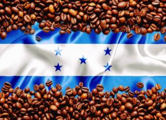 Honduras: Productores de café piden mantener mercado taiwanés