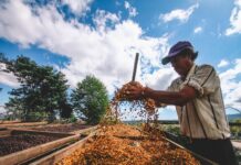 Exportaciones de El Salvador alcanzan su mayor crecimiento desde 2023 y apuntan a superar los USD 14,000 millones anuales