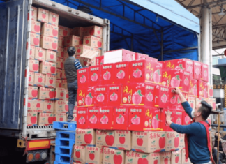 Cuidado en el manejo y transporte de frutas frescas
