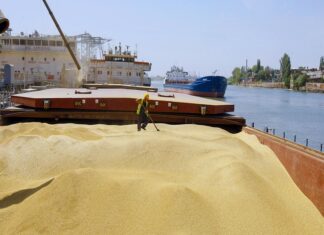 Acuerdo de granos del Mar Negro, ¿Cómo impacta a Rusia y al mundo?