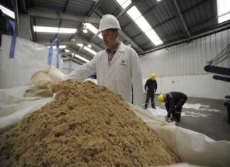 Panamá logra hito exportando harina de pescado a Vietnam