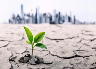 BID triplicará financiación climática en América Latina y el Caribe