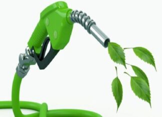 Uso del biometano necesita objetivos más ambiciosos