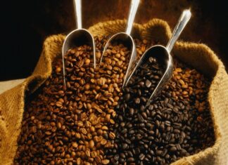 Guatemala: Gobierno hará fuerte inversión en sector cafetalero