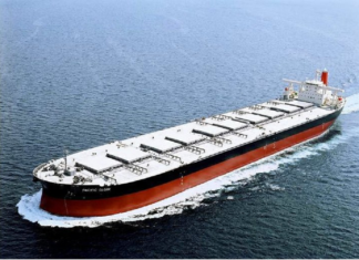 Baltic Dry Index comienza con leva alza el 2024