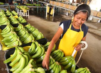 Desempeño económico hondureño no mejora