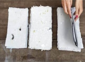 ¿Será posible fabricar papel a partir de materiales de segunda cosecha?