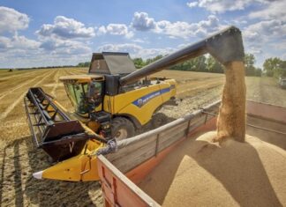 Eurocámara prolongará suspensión de aranceles a Ucrania