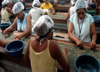 Nicaragua: Economía ha crecido un promedio de 4,7% en los últimos 10 años