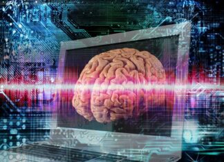 ¿Una «computadora viviente” fabricada con neuronas humanas?