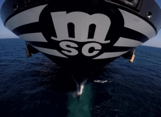 MSC entre los líderes de la clasificación mundial de operadores de terminales