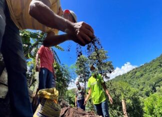 Resiliencia financiera frente al cambio climático en Centroamérica
