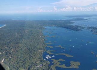 Panamá: Monitorean algas nocivas con inteligencia artificial y datos satelitales