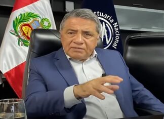 Juan Carlos Paz, presidente APN: «Chancay nos permite ser una puerta logística a mercados asiáticos»