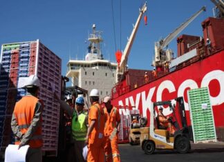 Exportación de fruta, piedra angular en la economía centroamericana