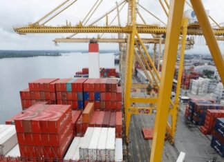 Exportación no minera en países de América Latina ¿Quién marcará la pauta regional el 2025?