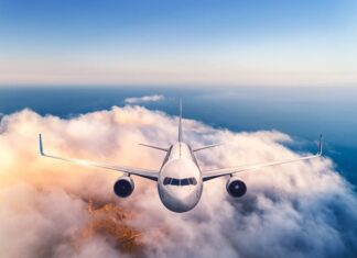 Green Logistics toma vuelo: La apuesta por el transporte aéreo de perecibles revoluciona la industria logística