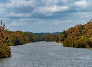 Canal de Panamá busca construcción de embalse en río Indio