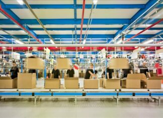 Importancia de la automatización en la transformación logística