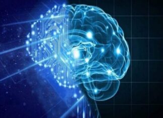 Inteligencia Artificial para reducir costos y mejorar la productividad