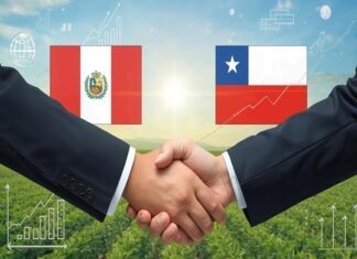 ¿Socio o estratega? El papel de Chile en el auge agroexportador del Perú