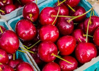 Chile y la ruta perfecta de la cereza: la logística detrás del “Cherry Express” hacia China